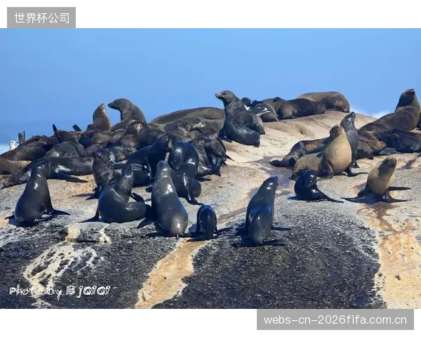 布罗斯需打破球队心理劣势,历史数据显示南非队难以应对韩国队的传控。 布罗斯需打破球队心理劣势,历史数据显示南非队难以应对韩国队的传控。