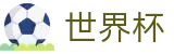 FIFA2026世界杯买球_世界杯买球官方入口在哪指南